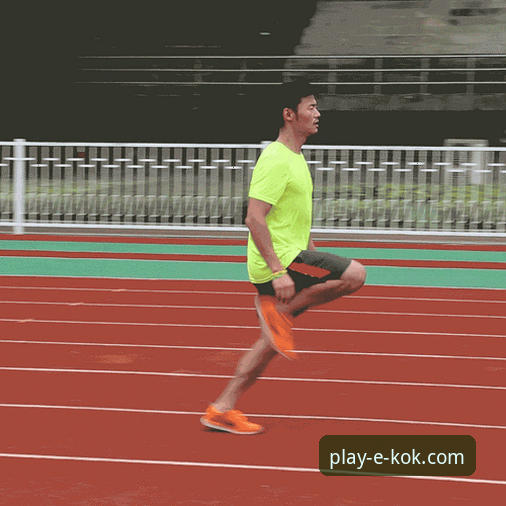 KOK体育平台竞猜技巧2026最新版本动态解析：新手入门到精通的实用指南